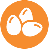 Huevos