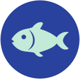 Pescado
