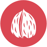 Frutos de cáscara