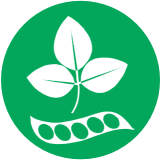 Soja